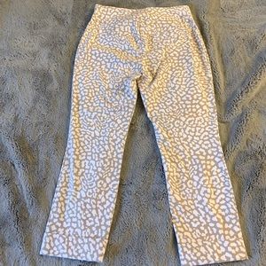 Animal Print Work Pants - New York and Company